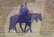 Prince Andrew is seen near Windsor Castle