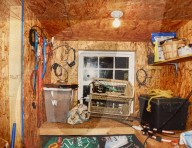 NEWS - Murdaugh-Prozess in USA: Die Familienmorde, die South Carolina erschütterten