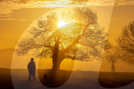 Fog and freezing conditions for London