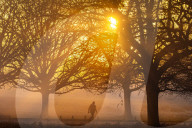 Fog and freezing conditions for London