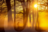 Fog and freezing conditions for London