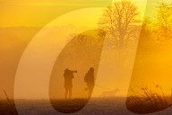 Fog and freezing conditions for London