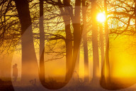 Fog and freezing conditions for London