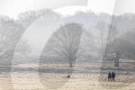 Fog and freezing conditions for London