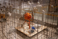 Mike Nelson: Extinction Beckons exhibition at the Hayward Gallery, London, UK 