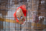 Mike Nelson: Extinction Beckons exhibition at the Hayward Gallery, London, UK 