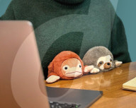 FEATURE -  Kuscheltiere für die perfekte Körperhaltung am Schreibtisch