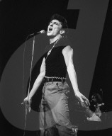 The Tubes, Fee Waybill