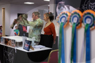 Brighton Boutique Cat Extravaganza an international cat competition in Sussex, UK.