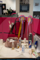 Brighton Boutique Cat Extravaganza an international cat competition in Sussex, UK.