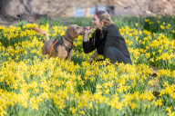 Zoe Mankin and Enzo enjoys the spring flowers in St James’s Park, London, UK.