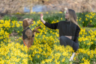Zoe Mankin and Enzo enjoys the spring flowers in St James’s Park, London, UK.