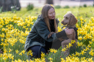 Zoe Mankin and Enzo enjoys the spring flowers in St James’s Park, London, UK.