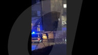 Germany: Shooting in Hamburg