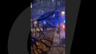 Germany: Shooting in Hamburg
