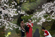 FEATURE - In voller Pracht: Kirschblüte in Guiyang