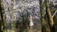 FEATURE - In voller Pracht: Kirschblüte in Guiyang