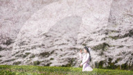 FEATURE - In voller Pracht: Kirschblüte in Guiyang