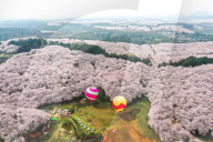FEATURE - In voller Pracht: Kirschblüte in Guiyang