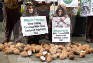 Whole Foods 'Monkey Business' has PETA dumping coconuts outside London store, UK. 