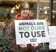 Whole Foods 'Monkey Business' has PETA dumping coconuts outside London store, UK. 