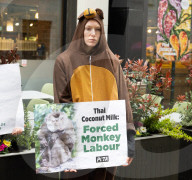 Whole Foods 'Monkey Business' has PETA dumping coconuts outside London store, UK. 
