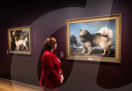 Portraits of Dogs from Gainsborough to Hockney at The Wallace Collection, Hertford House, Manchester Square, London, UK.