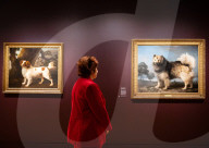 Portraits of Dogs from Gainsborough to Hockney at The Wallace Collection, Hertford House, Manchester Square, London, UK.