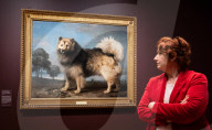 Portraits of Dogs from Gainsborough to Hockney at The Wallace Collection, Hertford House, Manchester Square, London, UK.