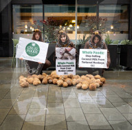 Whole Foods 'Monkey Business' has PETA dumping coconuts outside London store, UK. 