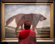 Portraits of Dogs from Gainsborough to Hockney at The Wallace Collection, Hertford House, Manchester Square, London, UK.