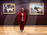 Portraits of Dogs from Gainsborough to Hockney at The Wallace Collection, Hertford House, Manchester Square, London, UK.
