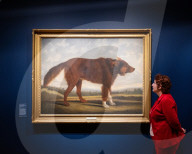 Portraits of Dogs from Gainsborough to Hockney at The Wallace Collection, Hertford House, Manchester Square, London, UK.