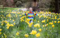 Press photocall for Superworm trail this Easter at Wakehurst, Ardingly, Sussex, UK.