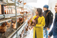 NEWS - Annalena Baerbock besichtigt die mobile Hühnerhaltung auf dem Hof der Wublitz Rind GbR