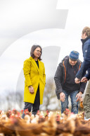 NEWS - Annalena Baerbock besichtigt die mobile Hühnerhaltung auf dem Hof der Wublitz Rind GbR
