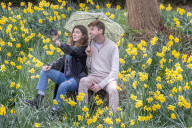 Spring flowers on Wimbledon Common south-west London, UK.