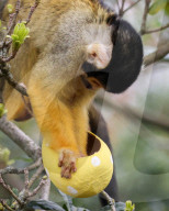 Easter Egg hunt at London Zoo, London, UK.