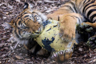 Easter Egg hunt at London Zoo, London, UK.