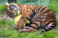 Easter Egg hunt at London Zoo, London, UK.