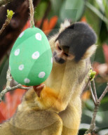 Easter Egg hunt at London Zoo, London, UK.