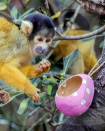 Easter Egg hunt at London Zoo, London, UK.
