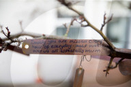 Wave Trauma Centre in north Belfast