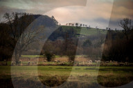 A great walk to a great pub: Clitheroe pub walk