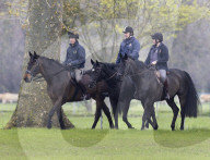 Prince Andrew is seen riding near Windsor Castle.
