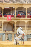 ROYALS -  König Felipe bei den Feierlichkeiten zum 450. Jubiläum der Real Maestranza de Caballería de Ronda