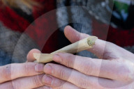 The annual 420 gathering in Hyde Park, London, UK.