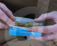The annual 420 gathering in Hyde Park, London, UK.