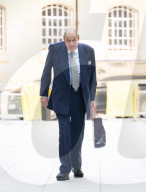 Lord Nicholas Soames
