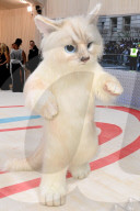 PEOPLE - Met Gala 2023: Jared Leto erscheint als Lagerfelds Katze Choupette